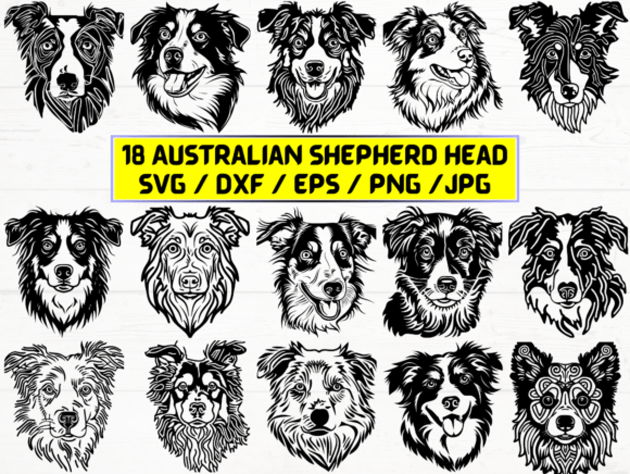 Australian Shepherd Head SVG: A Versatile Digital Asset for Designers and Creators