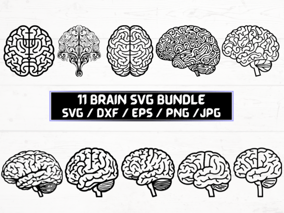 Brain SVG: A Versatile Digital Asset for Creative and Practical Applications