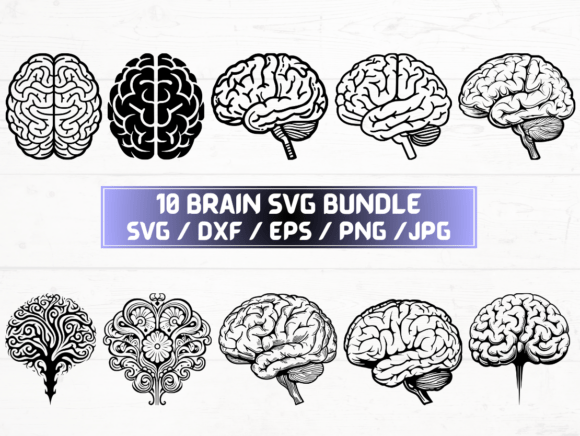 Brain SVG, DXF, EPS, JPG, PNG Files for Creative Use