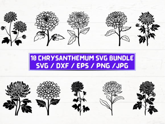 Chrysanthemum Flower SVG Bundle: A Versatile Digital Asset for Designers and Creators