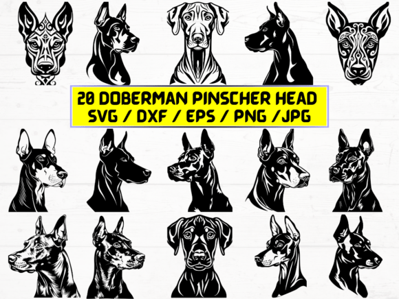 Doberman Pinscher Head SVG: A Versatile Vector Graphic for Designers and Creators