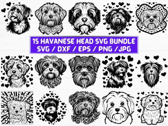 Havanese Head SVG Bundle: A Versatile Resource for Designers and Creators