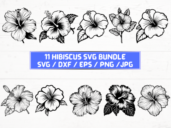 Hibiscus Flower SVG File: A Versatile Digital Asset for Designers and Creators
