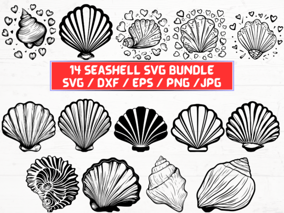 Seashell SVG Bundle: A Versatile Digital Asset for Creators and Designers