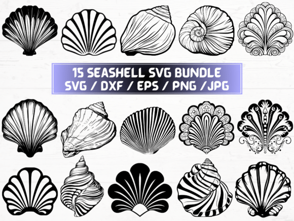 Seashell SVG, DXF, EPS, JPG, and PNG Files: A Versatile Digital Asset for Designers