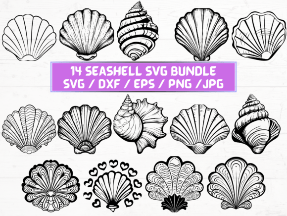 Seashell SVG File for Creative Projects