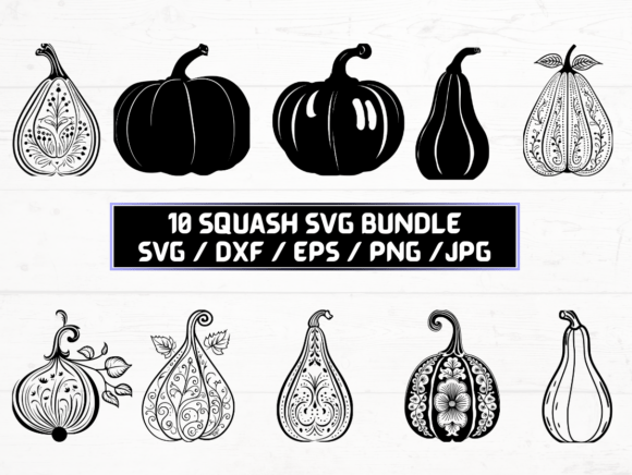 Squash SVG: A Versatile Digital Resource for Modern Creators